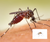 Bug Barometer Forecast: Why Mosquito repelling clothing is your best defense in all seasons